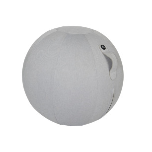 Ballon ergonomique Ergo Ball