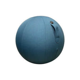 Ballon ergonomique Ergo Ball