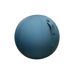 Ballon ergonomique Ergo Ball