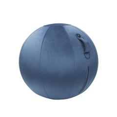 Ballon ergonomique Ergo Ball