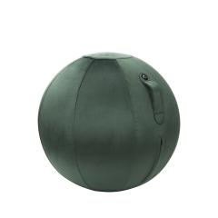 Ballon ergonomique Ergo Ball