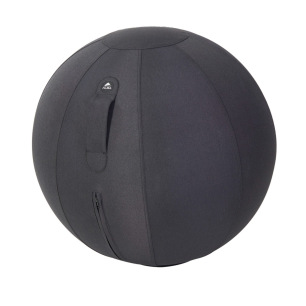 Ballon ergonomique Ergo Ball