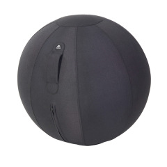 Ballon ergonomique Ergo Ball