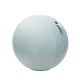 Ballon ergonomique Ergo Ball