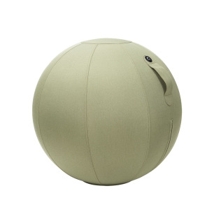 Ballon ergonomique Ergo Ball