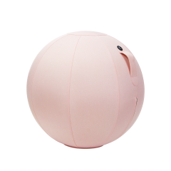 Ballon ergonomique Ergo Ball