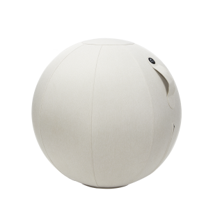 Ballon ergonomique Ergo Ball